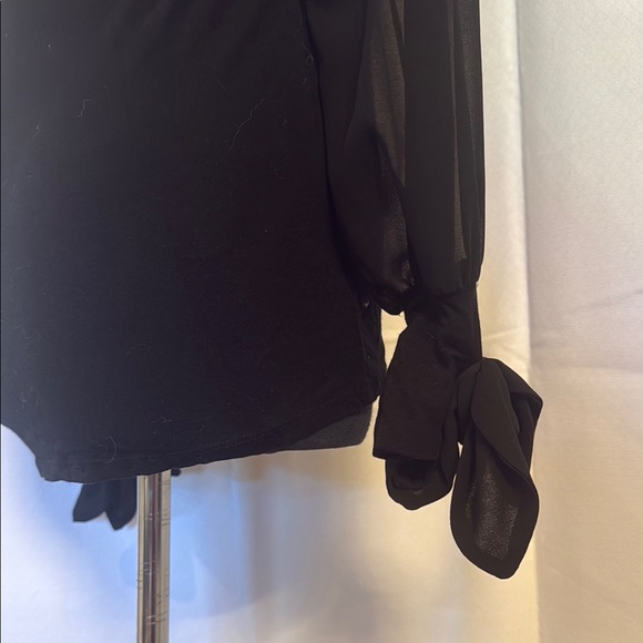 Suzy Shier Elegant Black Women's Top wwith mesh long sleeves. Medium. - Picture 5 of 8